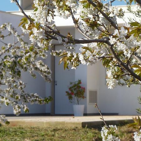 Il Giardino Dei Ciliegi - Turi Panzió Kültér fotó