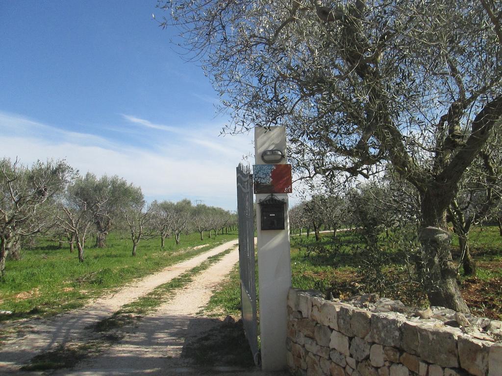 Il Giardino Dei Ciliegi - Turi Panzió Kültér fotó