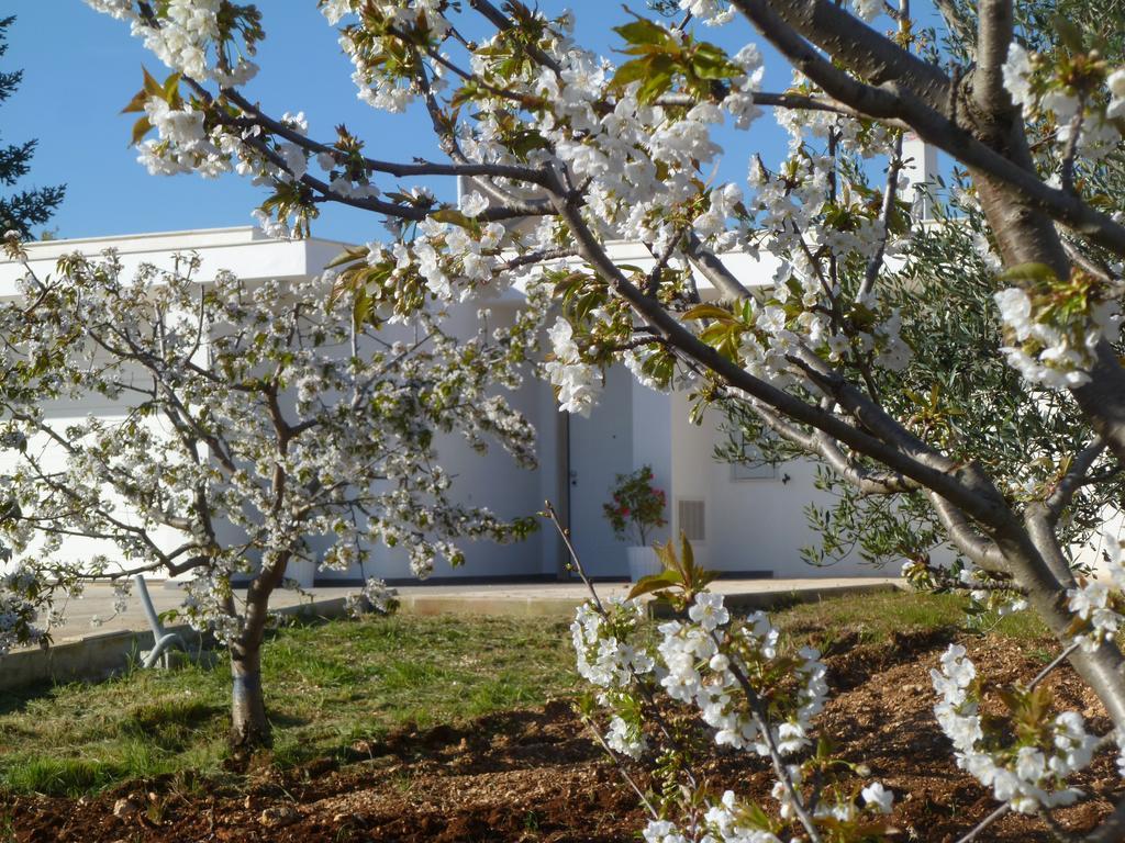 Il Giardino Dei Ciliegi - Turi Panzió Kültér fotó