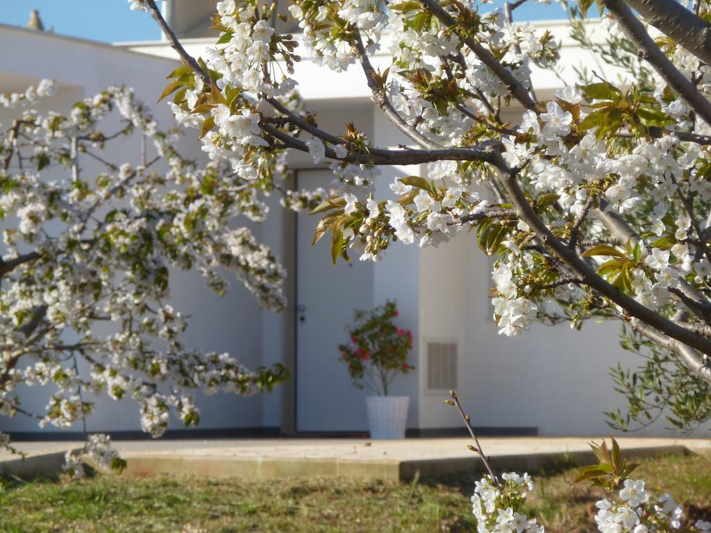 Il Giardino Dei Ciliegi - Turi Panzió Kültér fotó